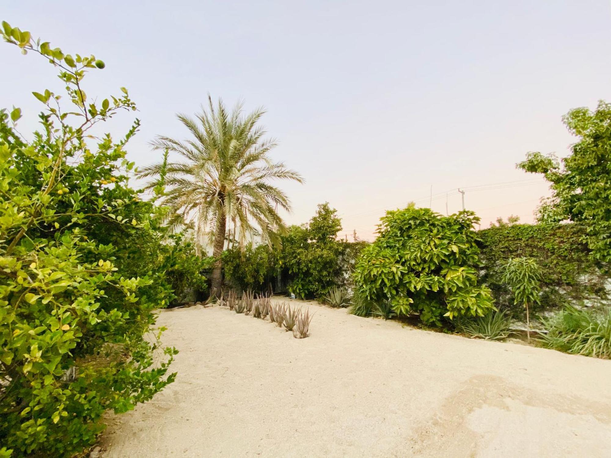 Apartamento Cabo Bohemia Tropical Garden *