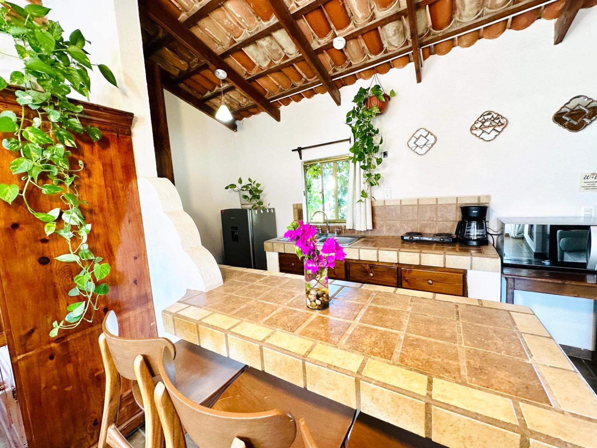 Apartamento Cabo Bohemia Tropical Garden *